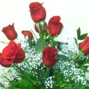 Meet your Posher, Donita